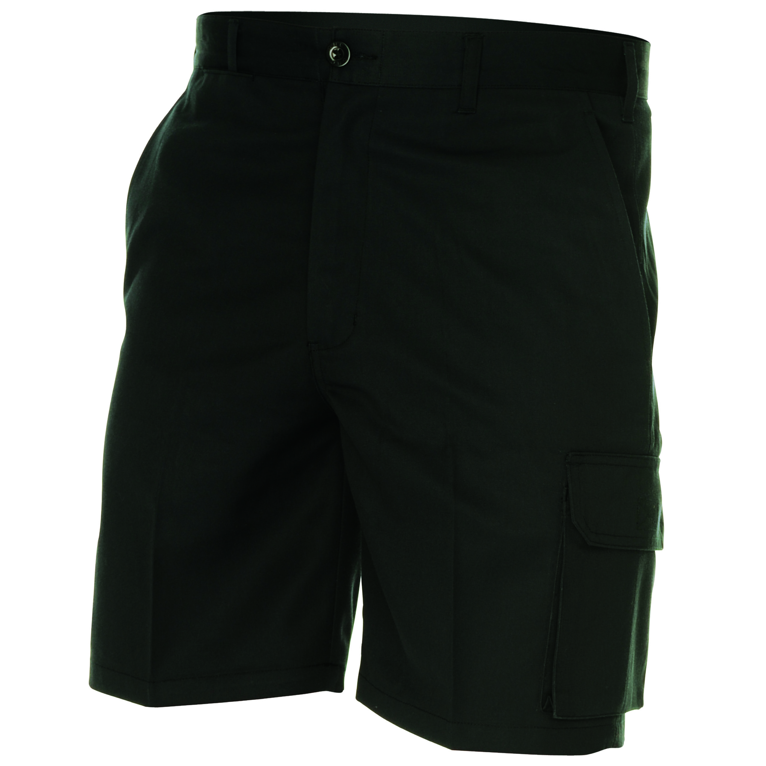 Permanent Press Cargo shorts Black